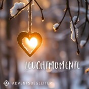 Adventsbegleiter